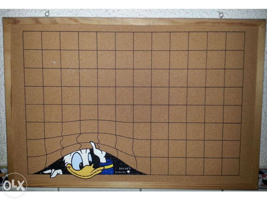 Quadros em corticite - Oportunidade