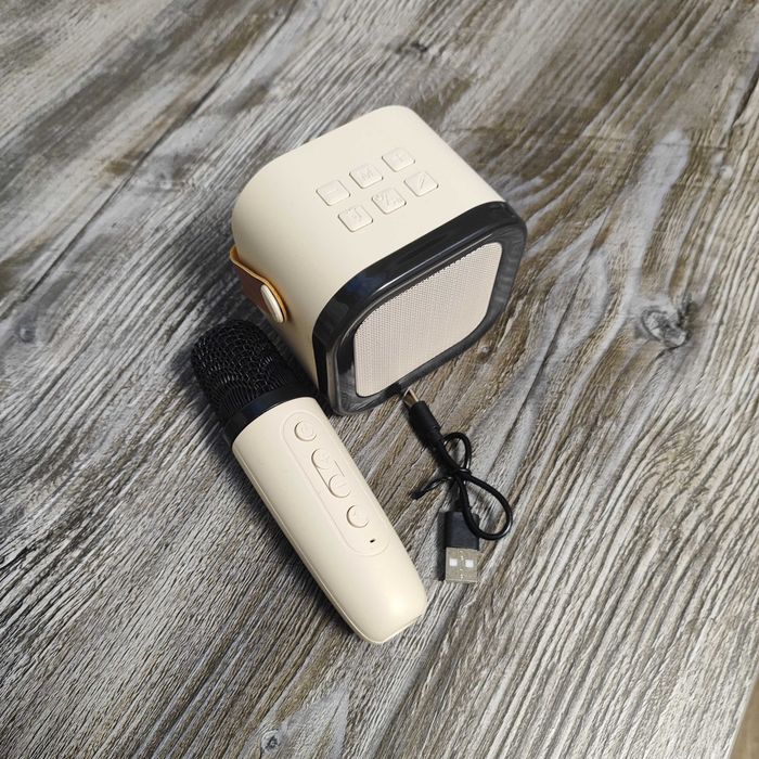 Портативна колонка з мікрофоном