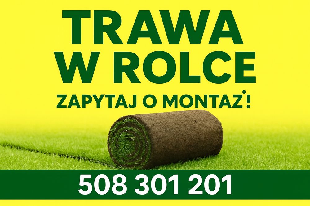 Trawa w rolce, trawa z rolki, trawa, trawnik rolowany - TRAWNIK POLSKI