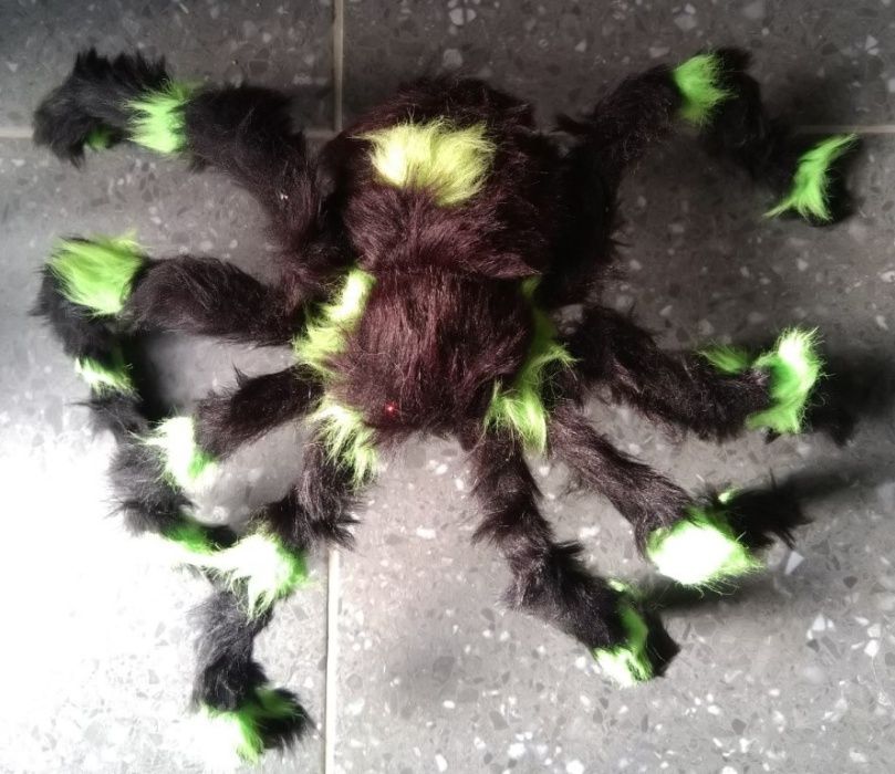 Giant Spider + Spider Web - Glow in the Dark (Phosphorescent)64409379490561124