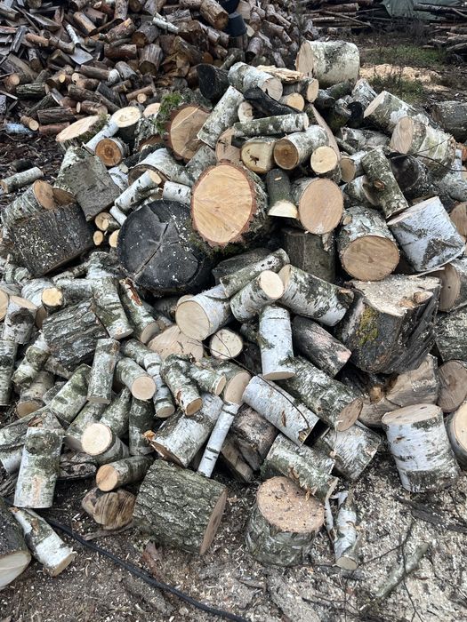 Drewno opałowe brzoza