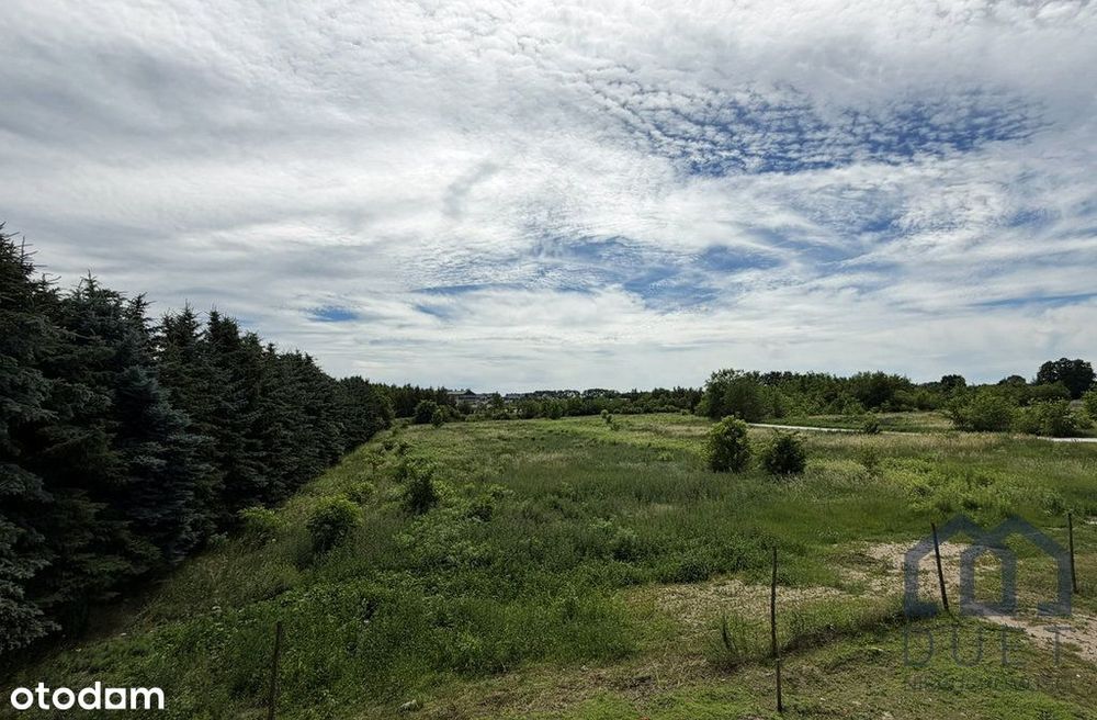 Dom – Mosina, Budzyń - Widok 4