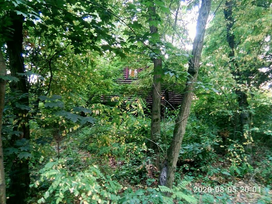 Будинок/Сруб/Баня у лісі