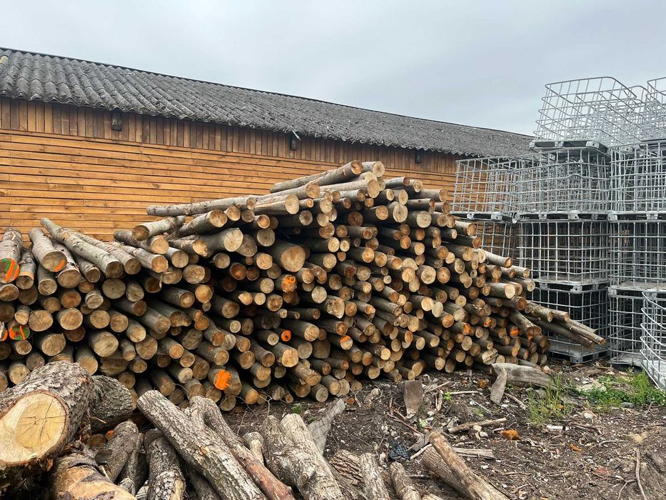 Drewno Opałowe, Kominkowe - Buk wałki