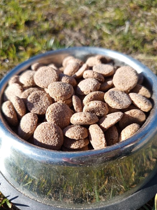 Сухий корм для собак Spiky 10кг