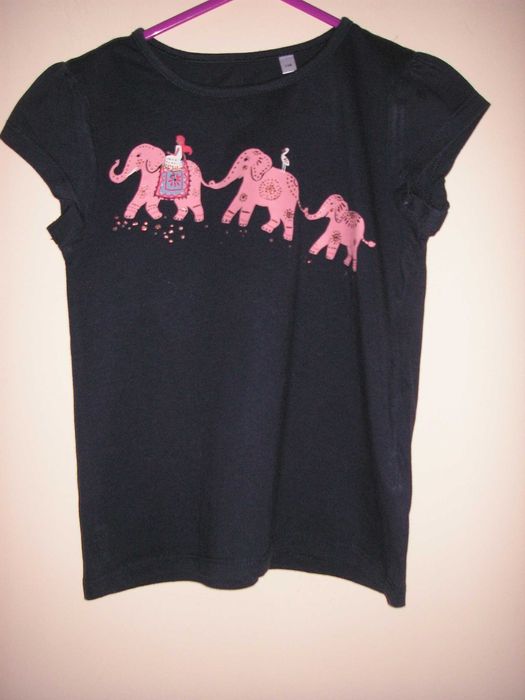 T Shirt Palomino, Doone e Amnistia Internacional T - 5/6 Anos