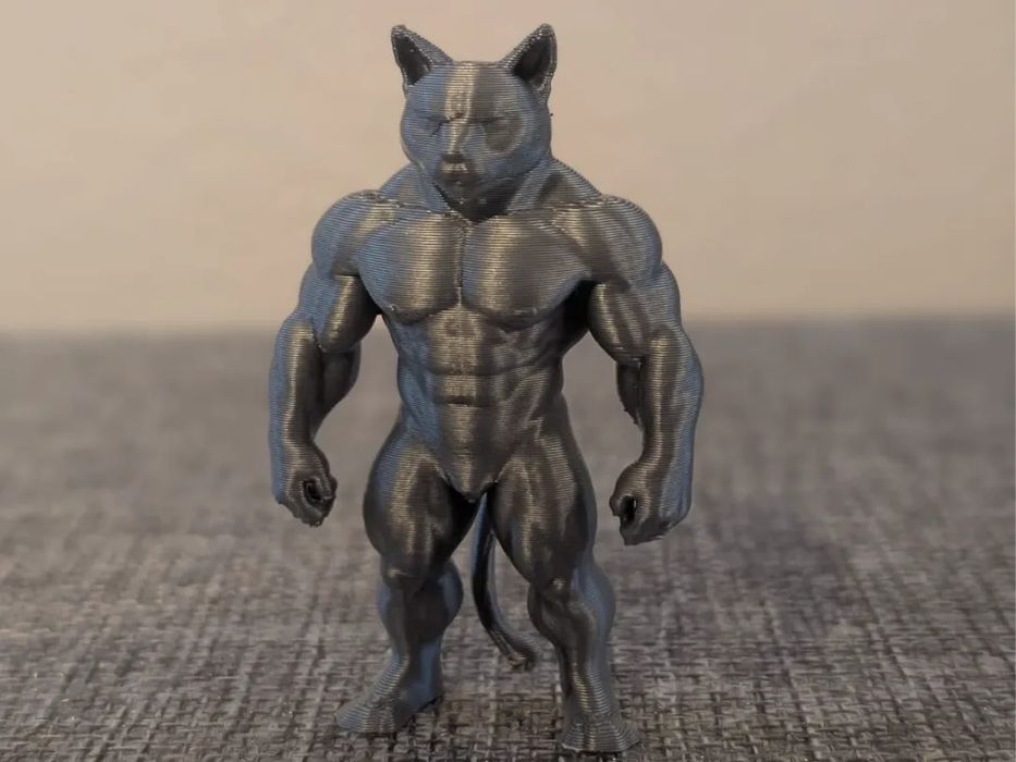 Gato Musculado - Caçador Alfa