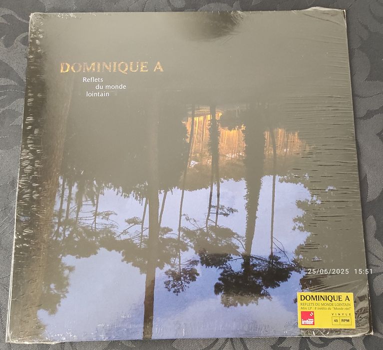 Dominique A. - Reflets Du Monde Lointain LP