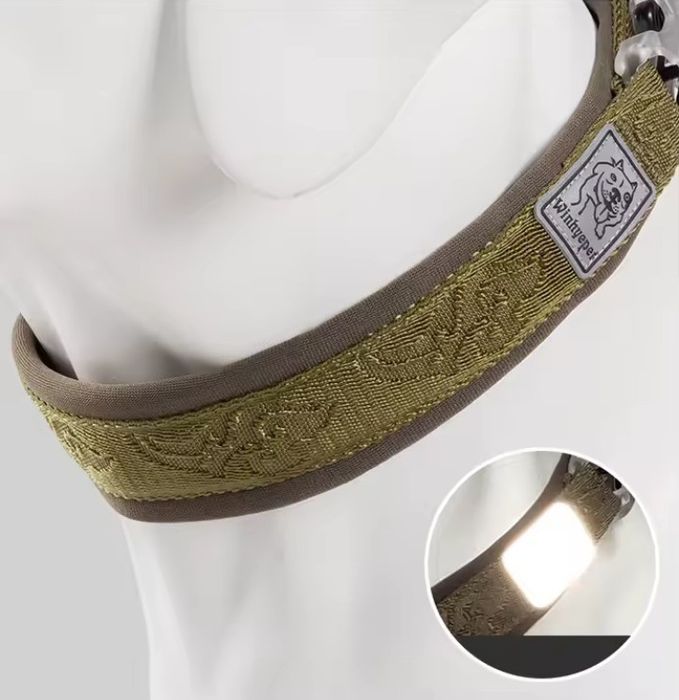 Нашийник ошейник для активних собак