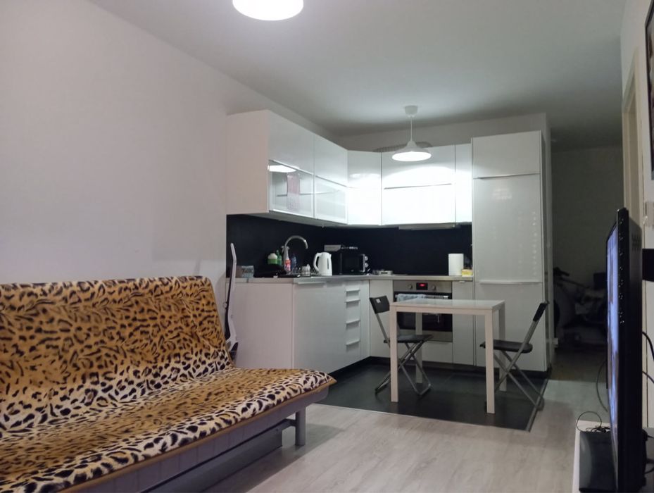 Do wynajecia mieszkanie Plewiska