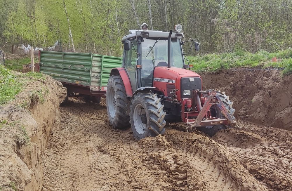 Massey Ferguson 4255. Mechaniczny. 5650mth.