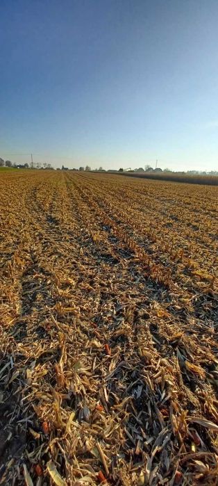 Sprzedam ziemie 5,83h