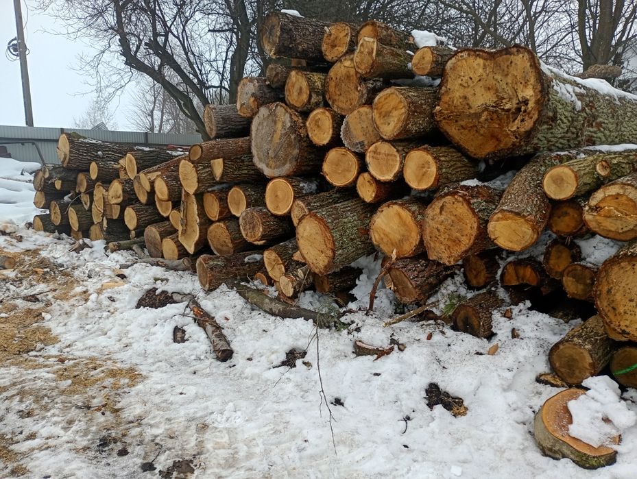 Drewno opałowe, kominkowe