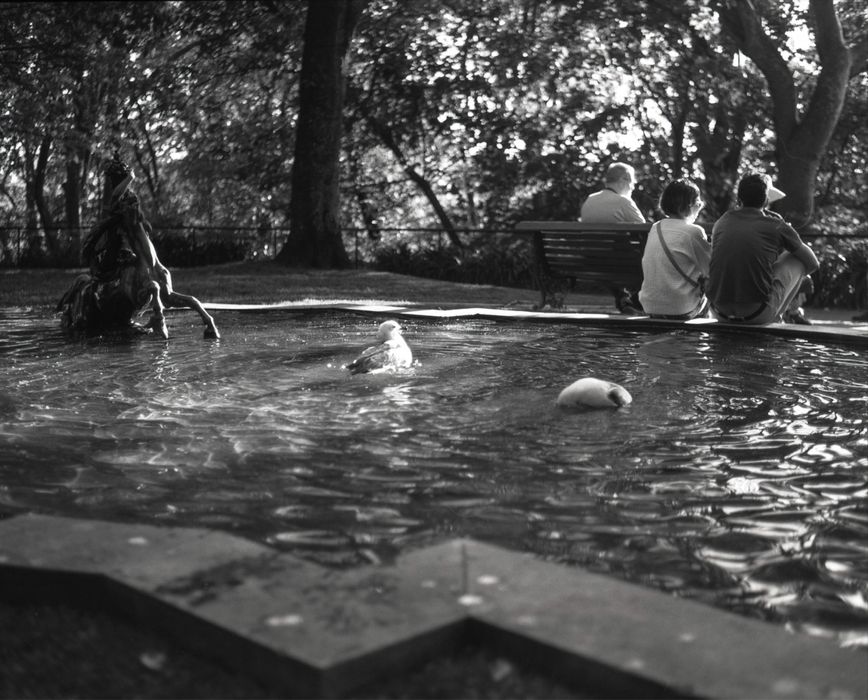 Rapid Omega 100 (analógica médio formato 6x7)