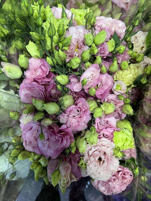 Єустома зріз на букети