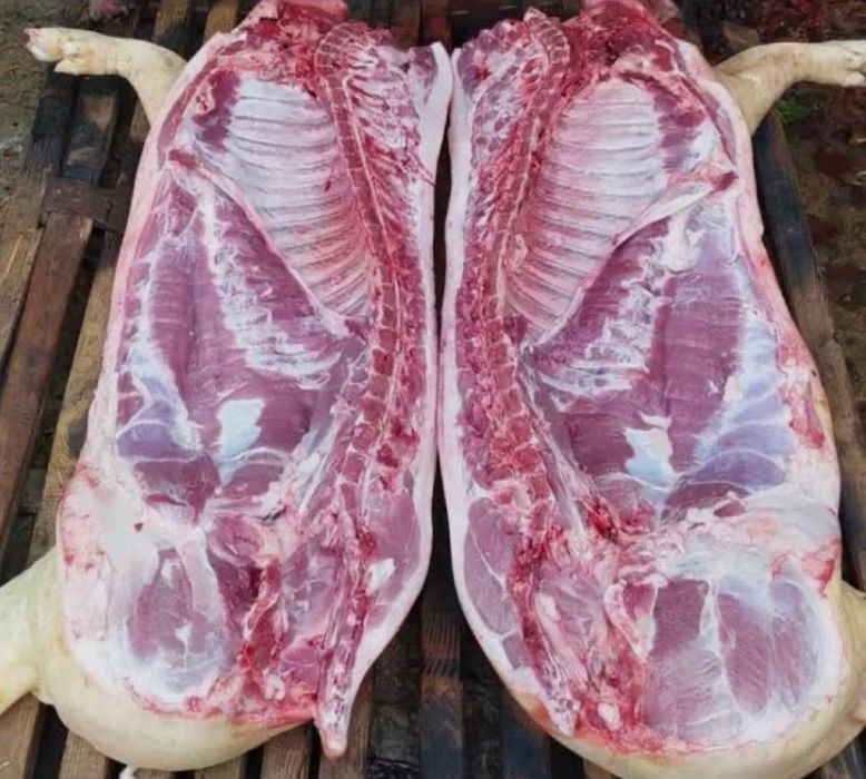 Продам  тушки свинини