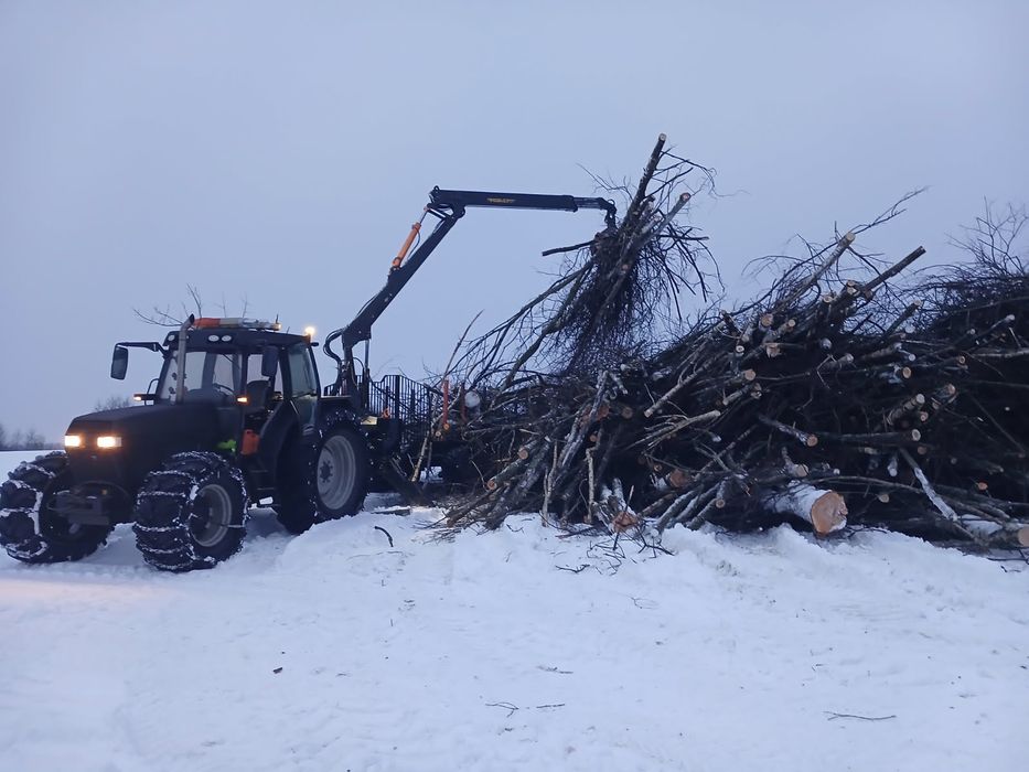 Wycinka drzew trudnych . Czyszczenie działek za materiał