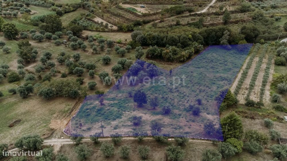 Terreno Rústico / Covilhã, Ferro