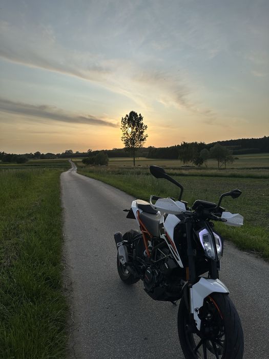 KTM Duke 125 KAT.B/A1