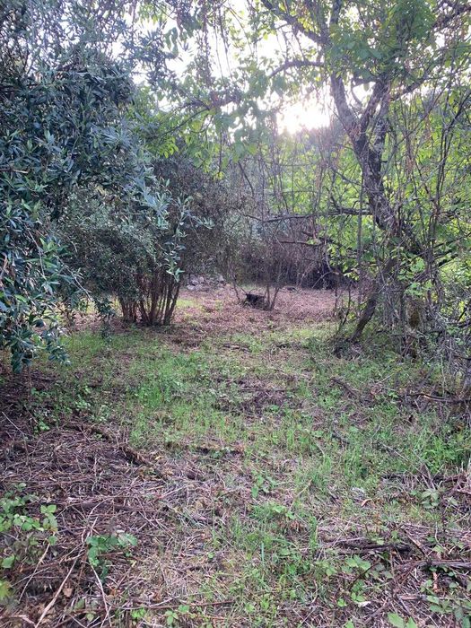 Terreno com palheiro em Ruinas