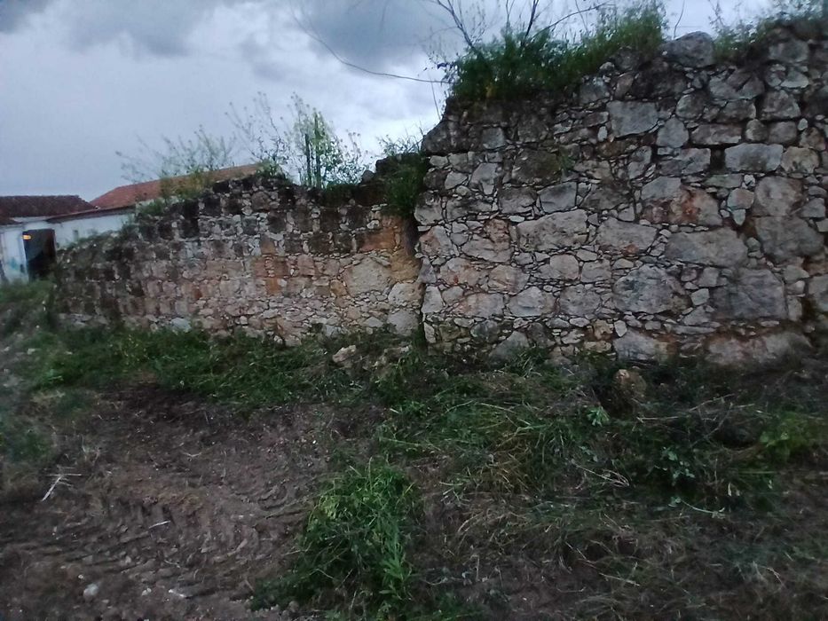 Terreno com olival  tradicional  14000 m2 e possibilidade de construção de  moradia com 140 m2