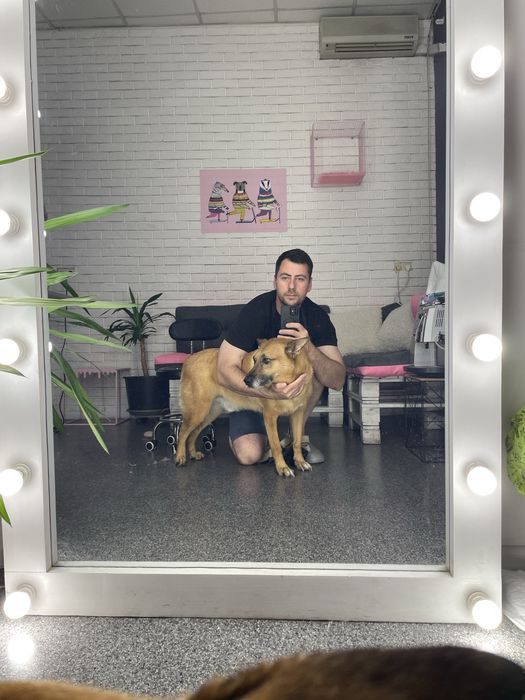 Максимально ефективна Експрес-линька для великих собак | Київ,Лівобере