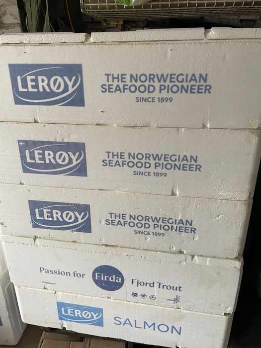 Термо Боксы с пенопласта