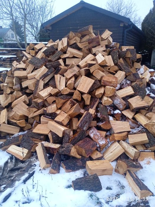 Olcha i sosna dziabana