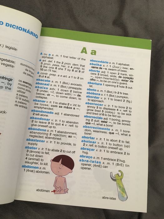Dicionário Português Inglês Ilustrado