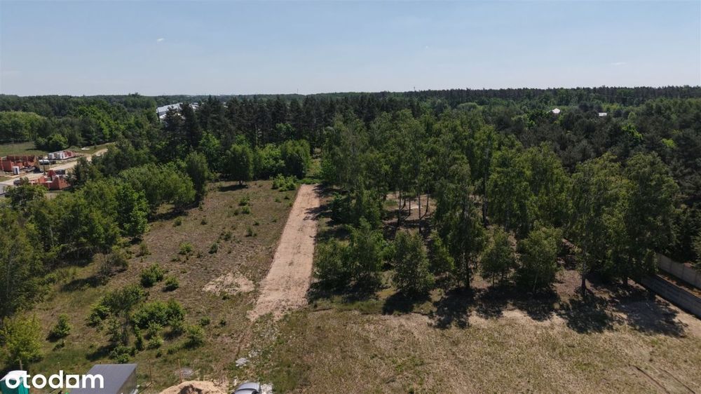 Działka leśna 3000 m² – Sochaczew, Wypalenisko