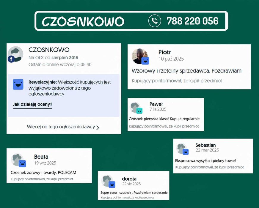 HARNAŚ czosnek polski zimowy ** wysyłka PACZKOMAT/ KURIER **