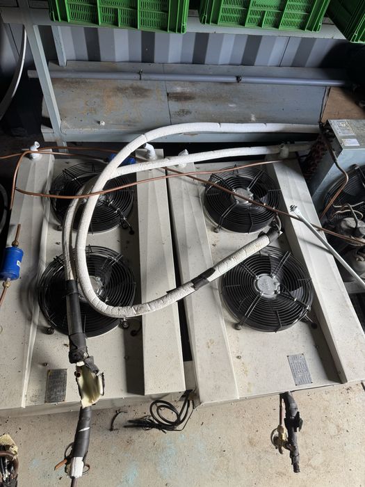 Contentor arca frigorifica