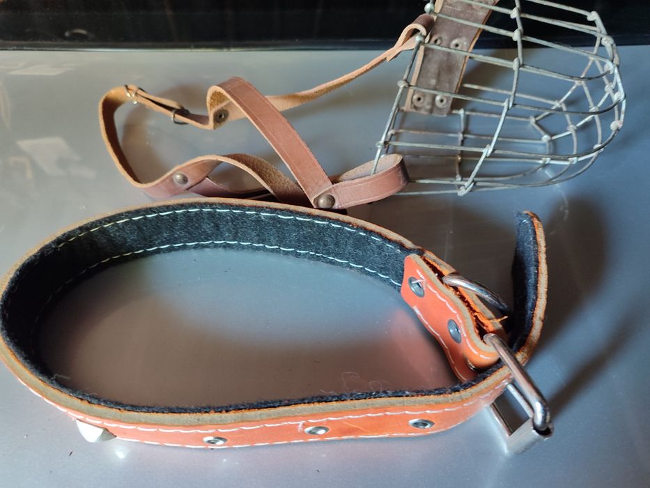 Намодник та ремінь для собаки