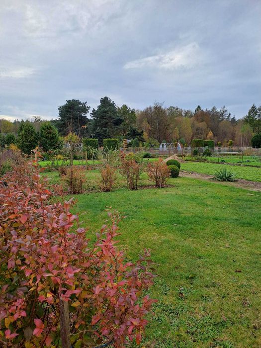 Działka ogrodowo - rekreacyjna ROD