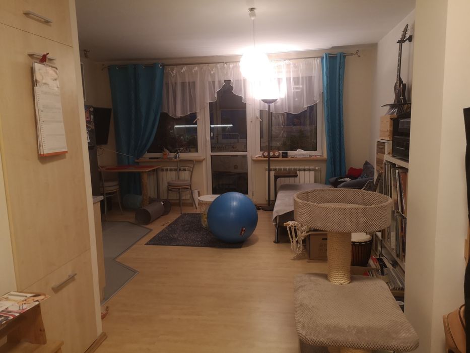 2 pokoje wynajem Przecław
