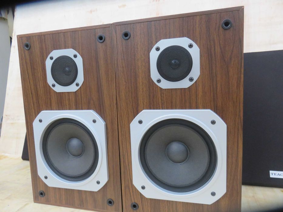 Kolumny monitory Teac S-1