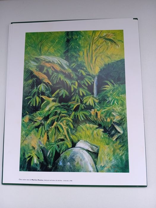 Coleção 6 Gravuras Parq. Monserrate Sintra 1998 | Art Prints Sintra