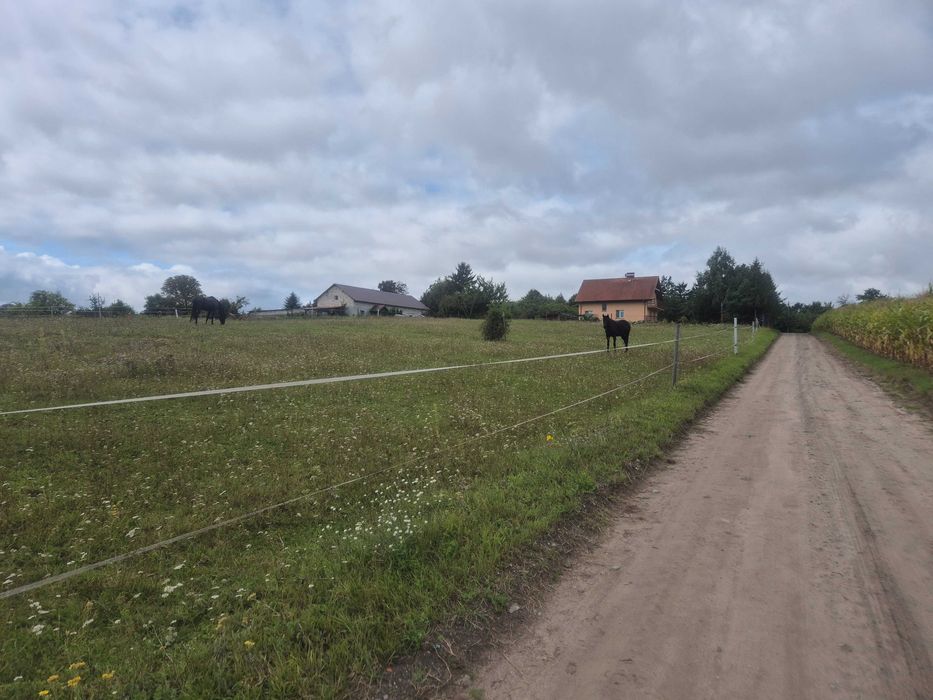 Działka z Warunkami Zabudowy Gościeradz 1815 m² - Widok 3