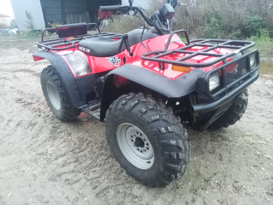 Arctic Cat