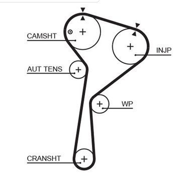 Kit distribuição Renault Clio II III Kangoo Megane II III Nissan