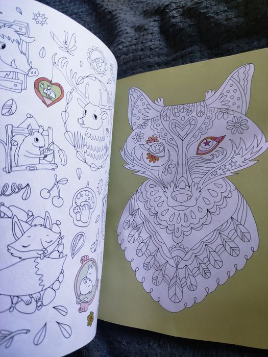 Kolorowanka zaczarowana podróż art. A 421