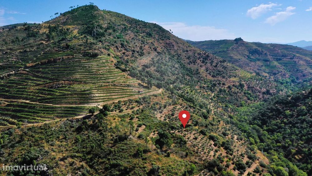Terreno  para venda