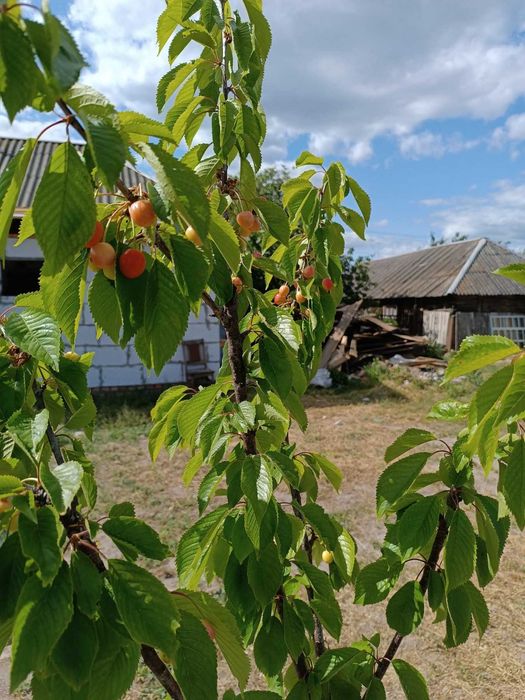 Продам дім за містом біля річки та озер