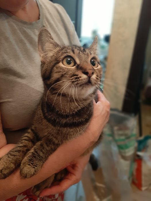 Хлопчик шукає родину!