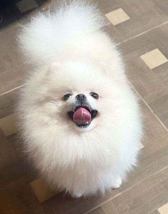 Супер кровi,в’язка i/о