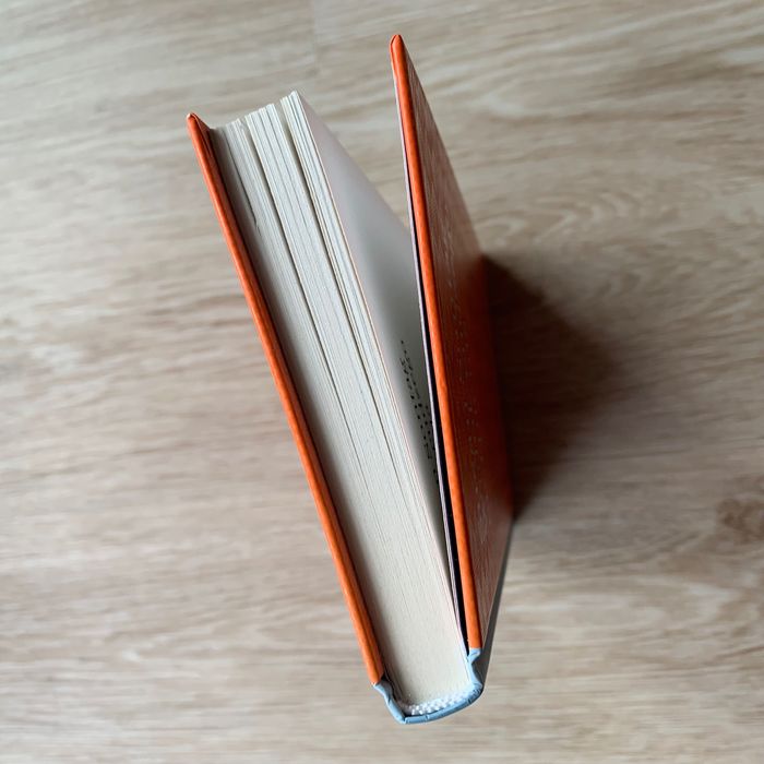 Susan Sontag - Widok cudzego cierpienia (Twarda)