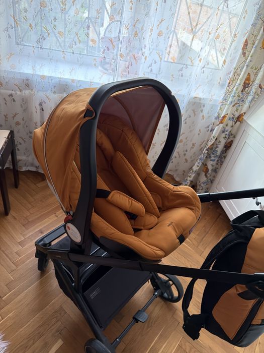 Коляска Carello Alfa 3 в 1