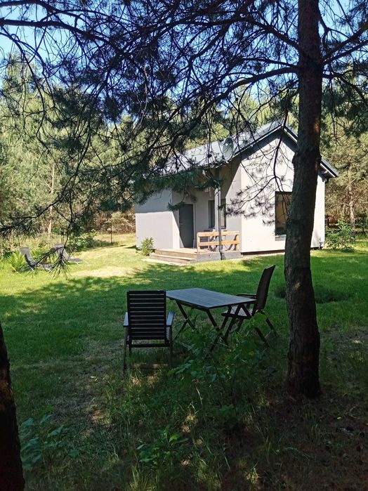 Domek całoroczny w lesie