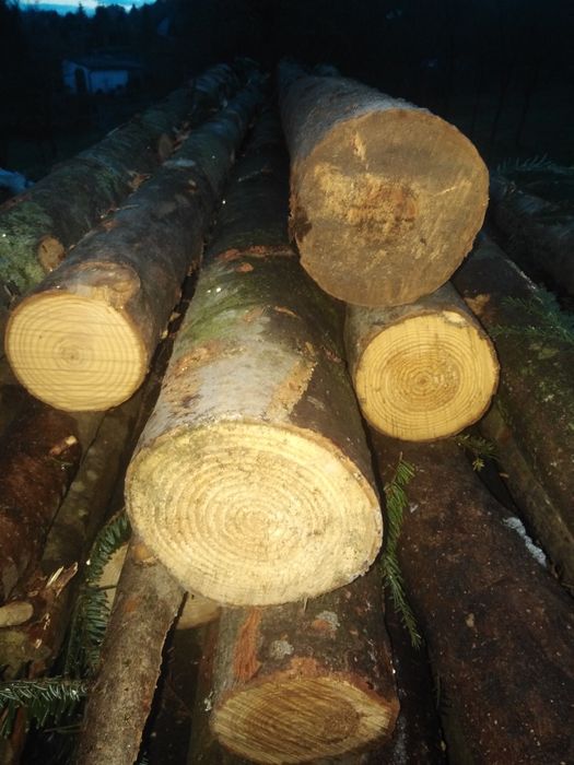 Stemple budowlane jodłowe 2.7- 3.0 metry 5zł za sztukę. Dowóz do 10 km