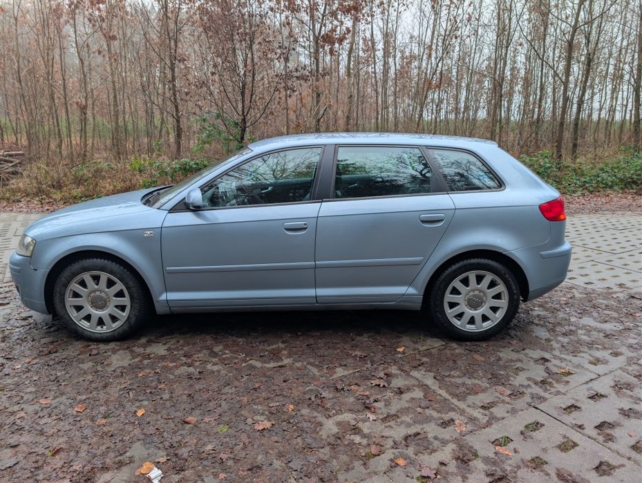 Audi A3 8p sportback 1.9 TDI DSG 2007R